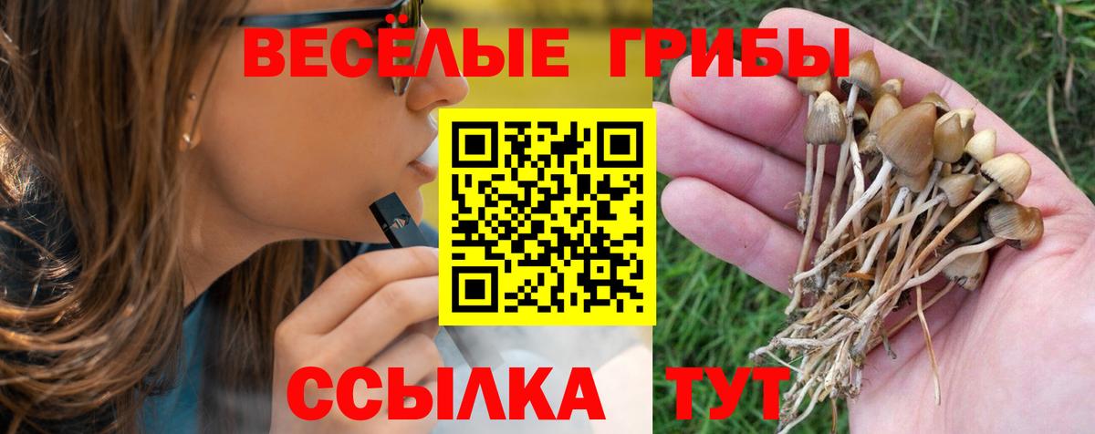 Черкесск  Псилоцибиновые грибы Psilocybe  Вход с VPN 