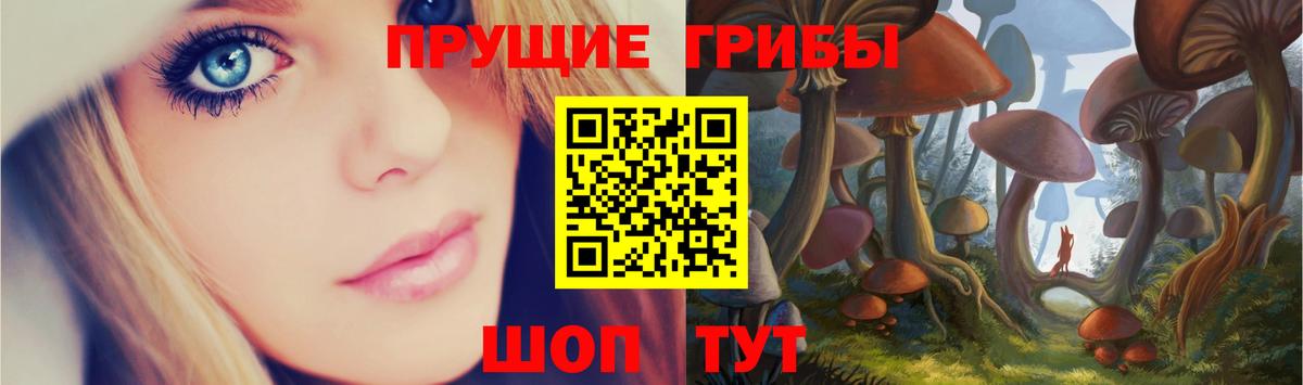 Псилоцибиновые грибы мицелий Черкесск